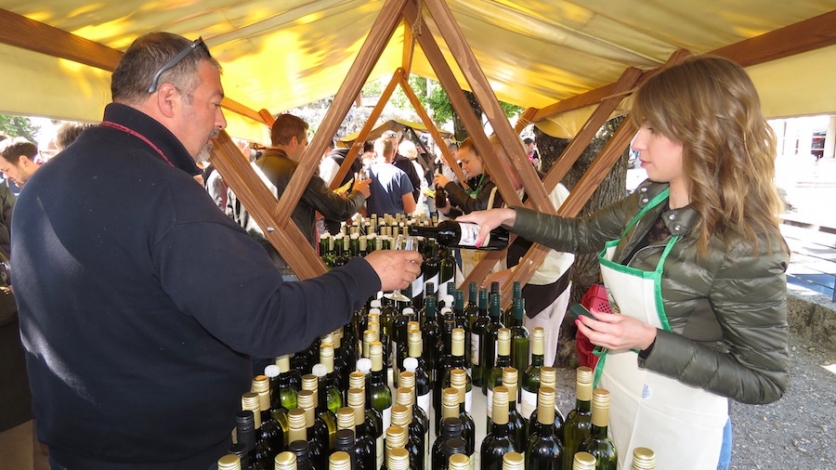 500 boca najboljih kastavskih vina čeka posjetitelje