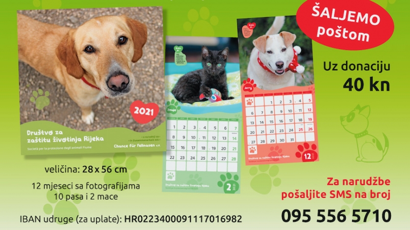 Kupnjom kalendara pomozite napuštenim životinjama