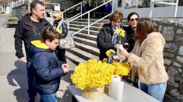 Podjelom poznatih žutih cvjetova obilježen Dan narcisa