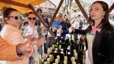 Najbolja kastavska vina potekla na prepunoj Fortici