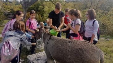 Bakarski mališani posjetili “farmu magaraca” u Šmriki